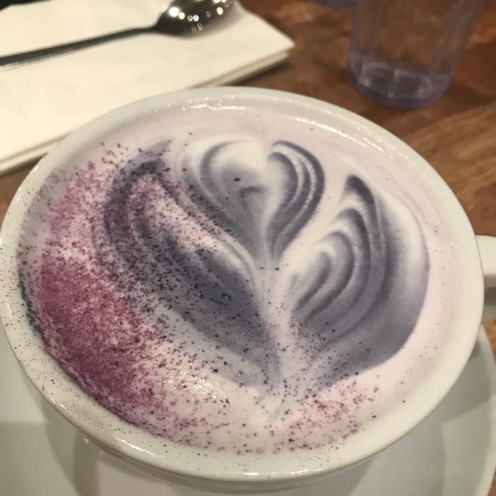 Meet your Posher, Ella